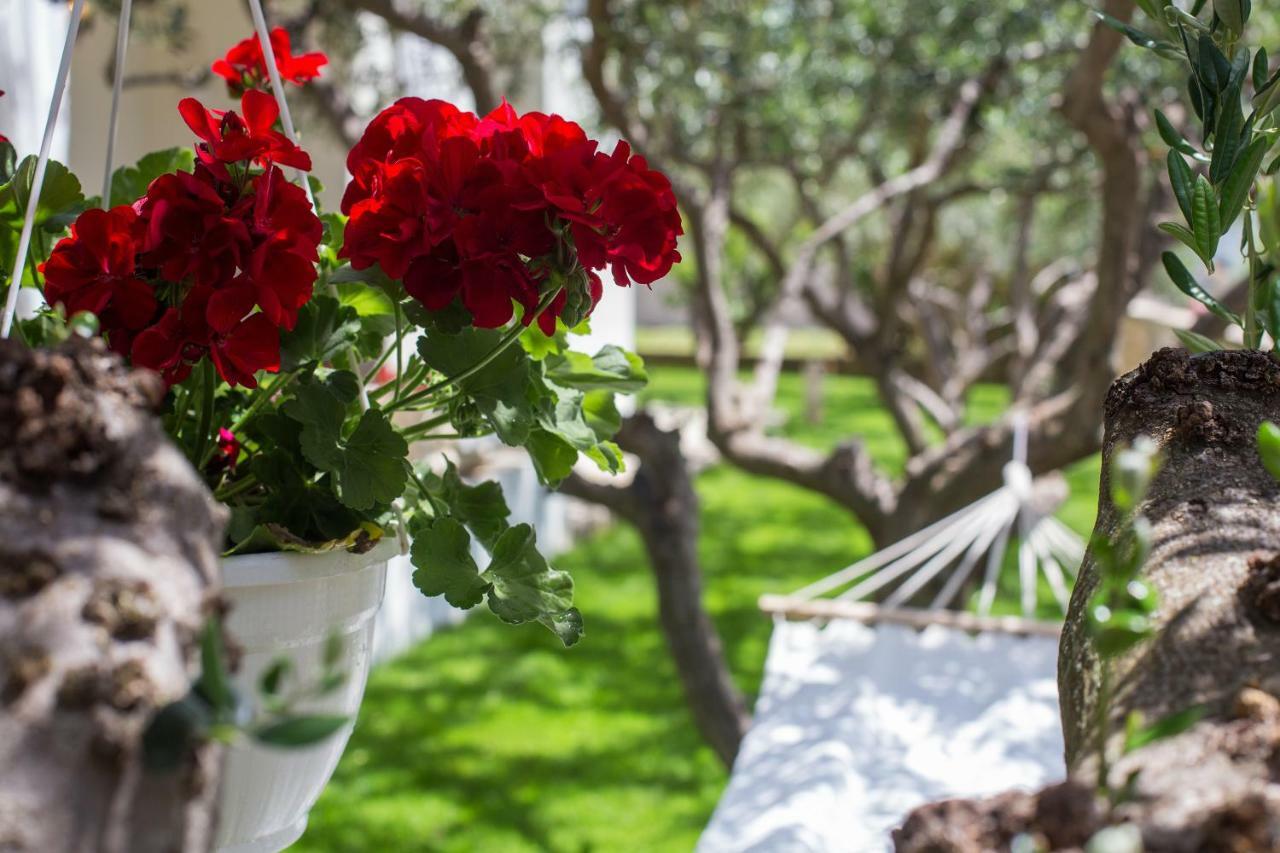 Villa Bosko Kastela Ngoại thất bức ảnh